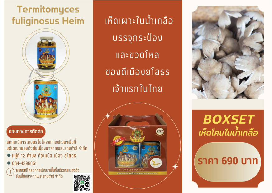 Artboard 2 Copy 11